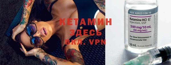 крисы Алексин