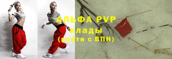 крисы Алексин