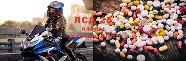крисы Алексин